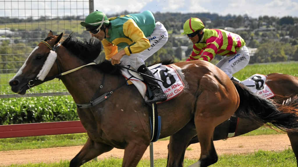 Lonesome Day, trained by Paul Nolan Jnr, is a starter in the Killarney Cup. Lonesome Day, trained by Paul Nolan Jnr, is a starter in the Killarney Cup.